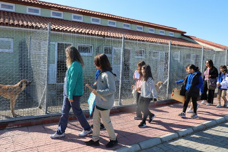 Muğla'da 'geçici hayvan bakımevi' ziyaretçilerini ağırlıyor