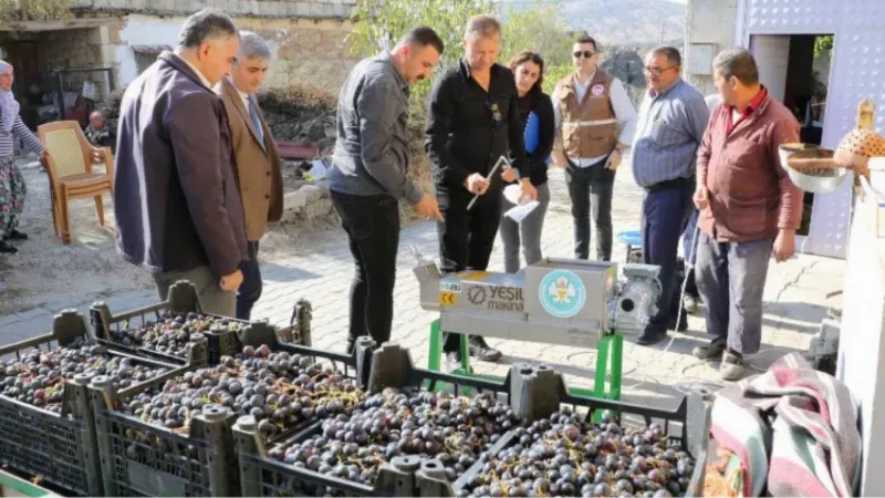 Manisa'da üzümün tadı farklı olacak