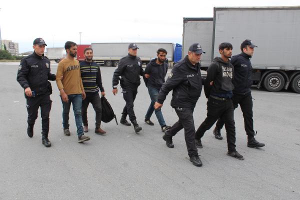 Tesisteki ağaçlıkta saklanan 4 kaçak göçmen yakalandı