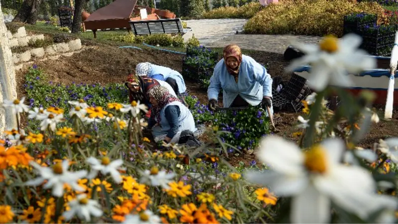 Bursa Osmangazi'nin 'Macera Bursa'sında kış çiçekleri