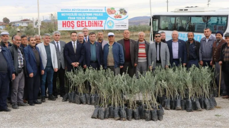 Manisa'da 72 bin 700 zeytin fidanı dağıtılacak