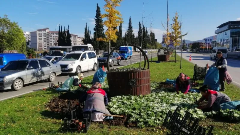 Mevsimlik çiçekler toprakla buluşuyor