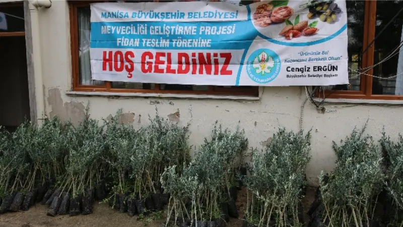 Manisa Salihli'de zeytin fidanları üreticilere teslim edildi