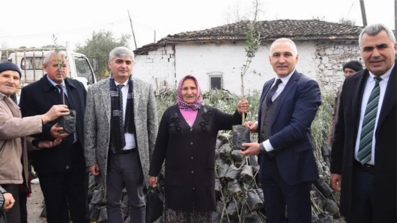 Manisa'da tarım arazisi yanan üreticilere fidan desteği