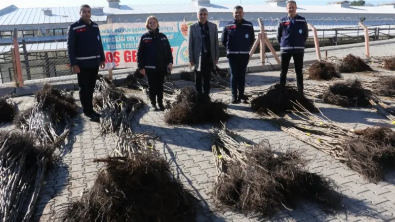 Manisa Gördesli üreticilere fidan desteği