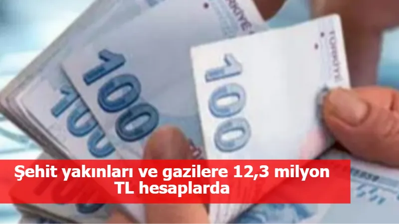 Şehit yakınları ve gazilere 12,3 milyon TL hesaplarda