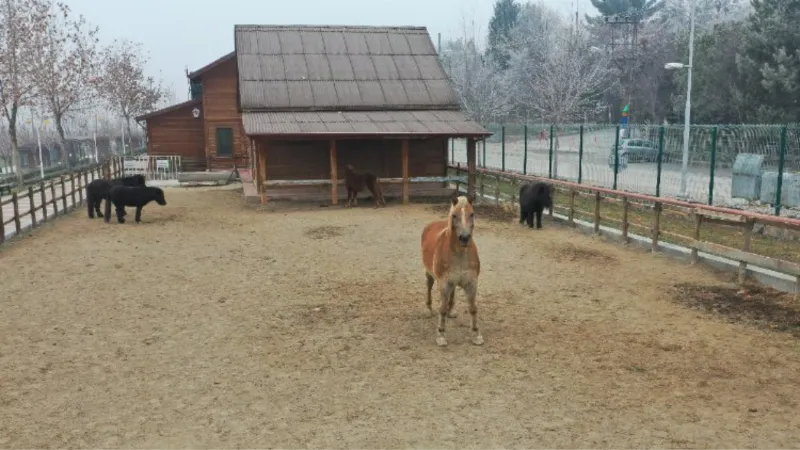 Doğu Anadolu'da tek... Ziyaretçilerin uğrak noktası oldu