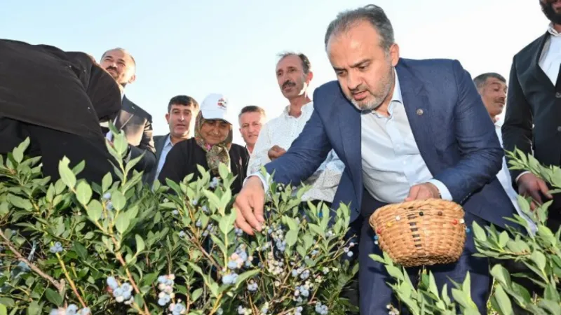 Bursa Büyükşehir tarlada üreticiye nefes oldu