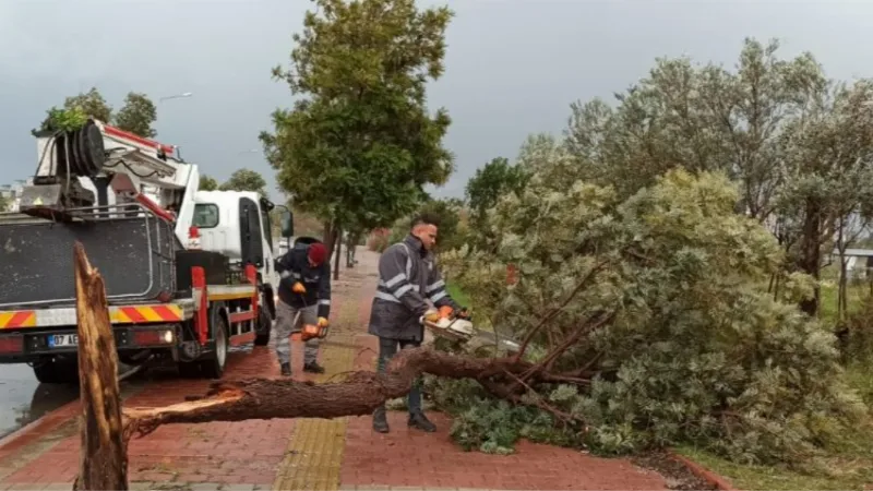 Antalya'yı fırtına vurdu