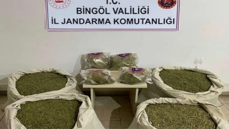 Bingöl’de 145 kilogram esrar ele geçirildi