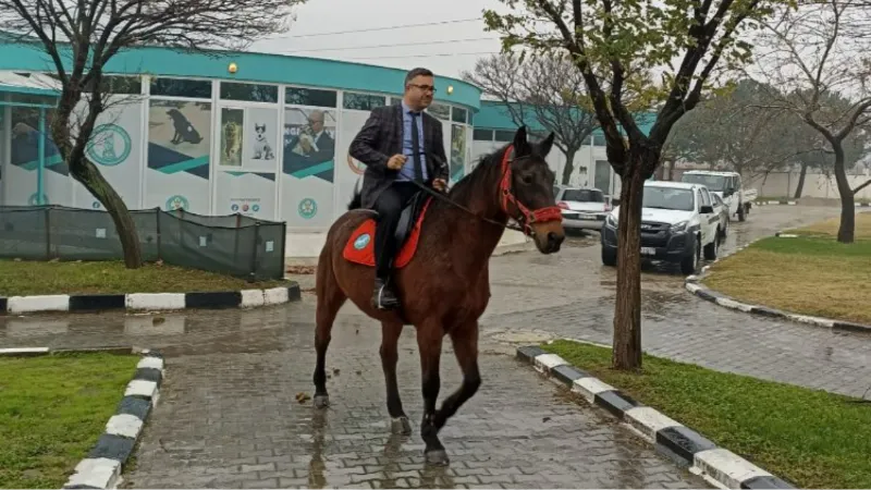 Manisa'da 'Atlı Zabıta' göreve hazırlanıyor