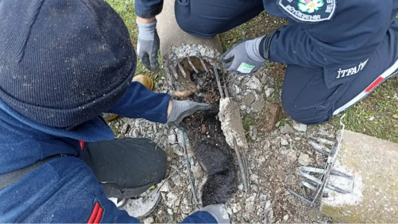 Manisa İtfaiyesi'nden hayat kurtaran müdahaleler