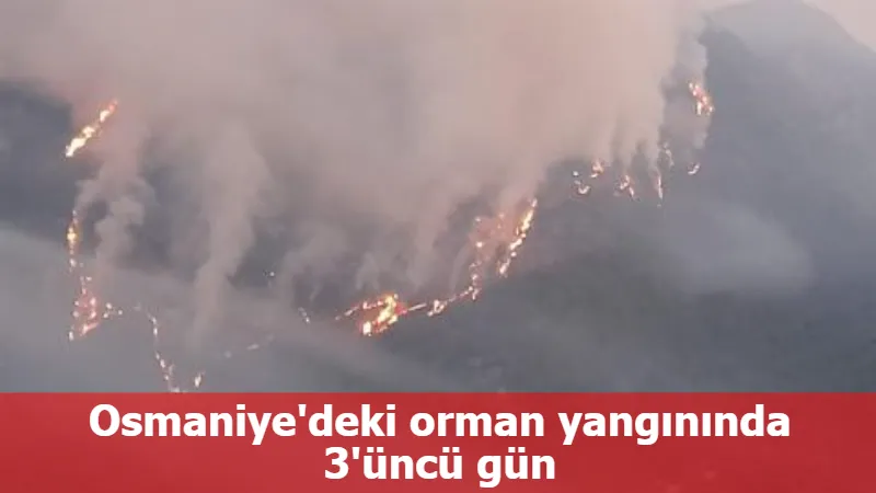 Osmaniye'deki orman yangınında 3'üncü gün