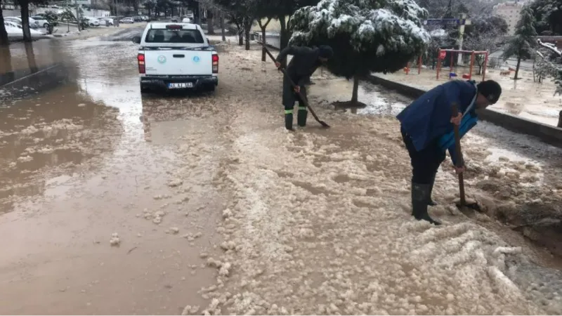 Manisa'da buz tutan mazgallara anında müdahale