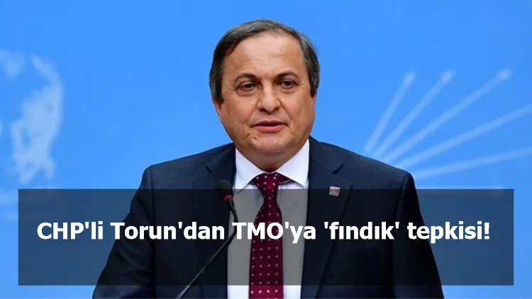 CHP'li Torun'dan TMO'ya 'fındık' tepkisi!