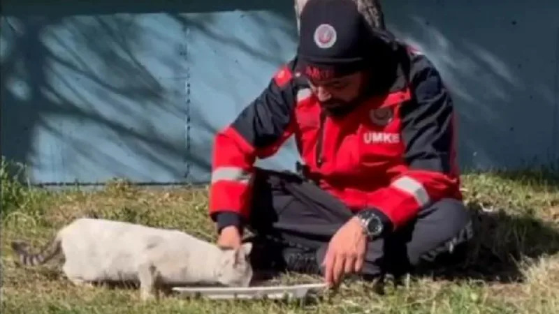 UMKE personeli, sokak kedisi ile yemeğini paylaştı
