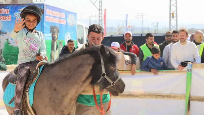 Gaziantep'te atla terapi