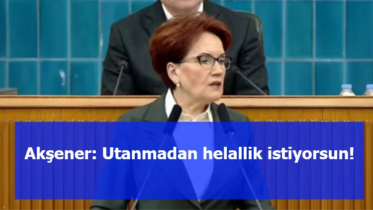 Akşener: Utanmadan helallik istiyorsun!