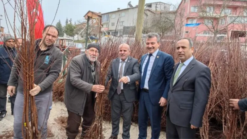 Bursa Büyükorhanlı çiftçiye fidan desteği