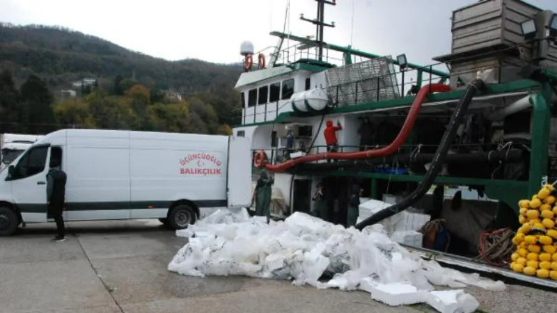 Amasra açıklarına ağ atan balıkçılar, 375 ton hamsiyle döndü