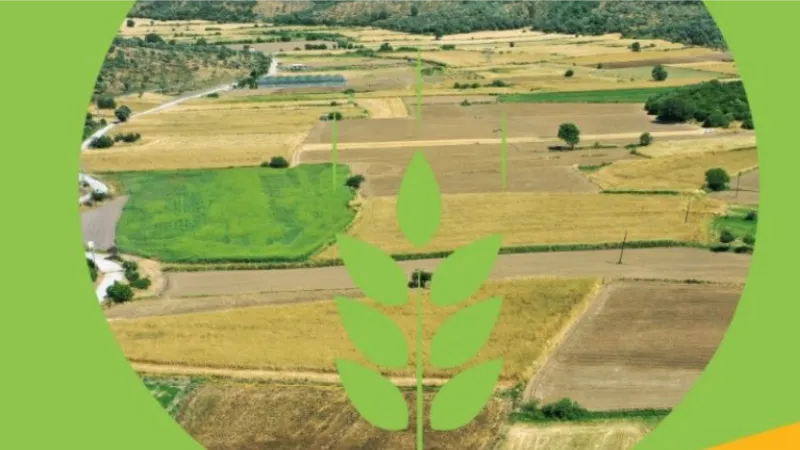 Bodrum'un 'Topraksız Tarım Projesi'ne onay