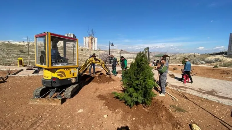 Mardin Artuklu Belediyesi kenti yeşillendiriyor