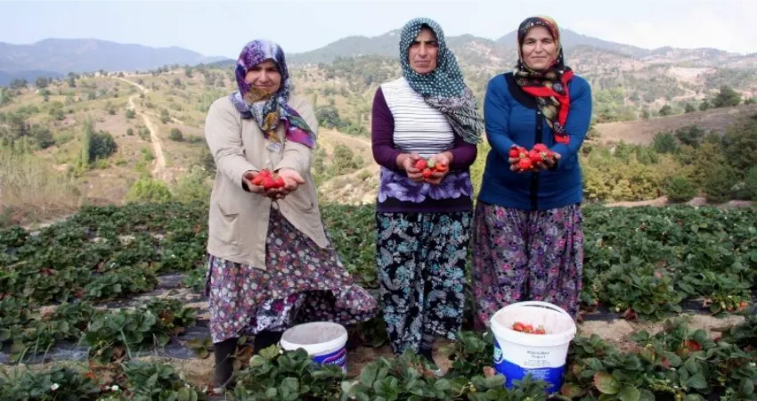 Başkan Aykurt duyurdu: Kırsalda üretim yapana müjde!