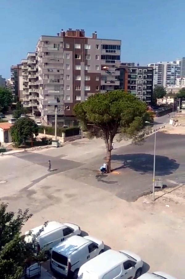 İzmir'de 'yarım asırlık ağacın kesilmesi' tartışması