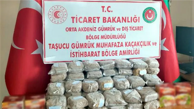 Taşucu Limanı'ndaki TIR'larda 35 kilo esrar ele geçirildi