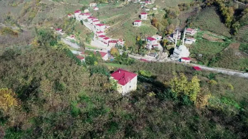 'Arazi anlaşmazlığı' çilesi; babaannesini sırtında taşıyor