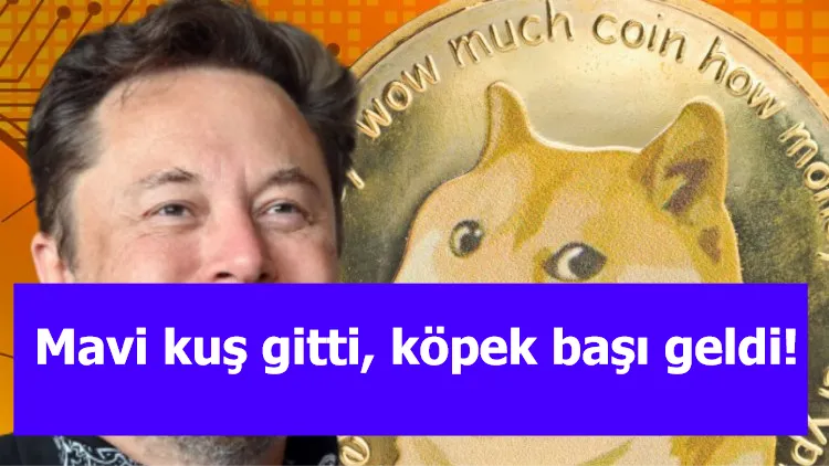 Mavi kuş gitti, köpek başı geldi!