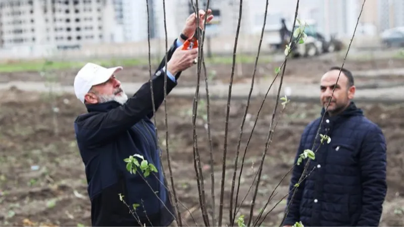 Kayseri Kocasinan'dan meyve bahçeli park projesi