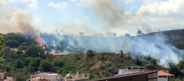 Tekirdağ'da orman yangını; yerleşim alanına sıçramadan söndürüldü