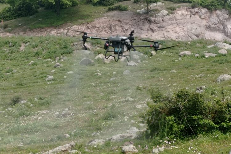 Manisa'da tarla çekirgelerine 'drone'lu mücadele