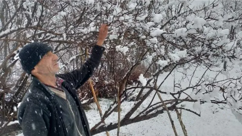 Bitlis ve Van'da kar yağışı etkili oldu