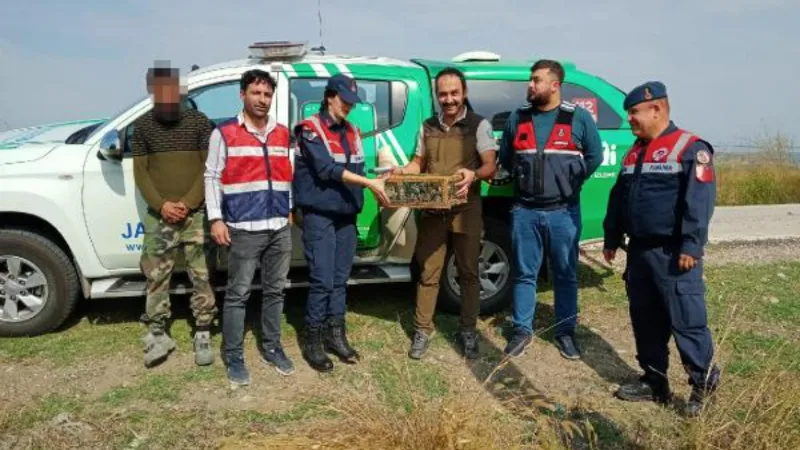 19 saka kuşu avladı, 29 bin 627 TL ceza kesildi