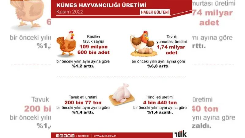 TÜİK: Kasım'da yumurta ve tavuk eti üretimi arttı, inek sütü miktarı azaldı