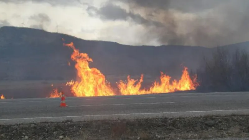 Beyşehir Gölü'nde sazlık yangını