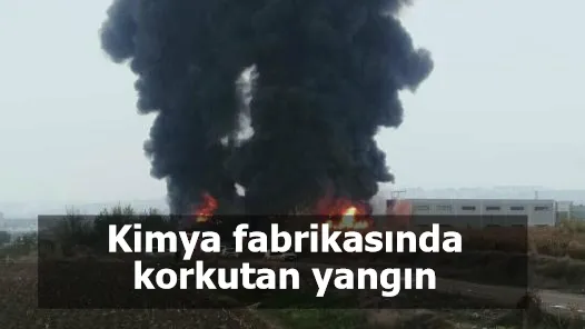Kimya fabrikasında korkutan yangın