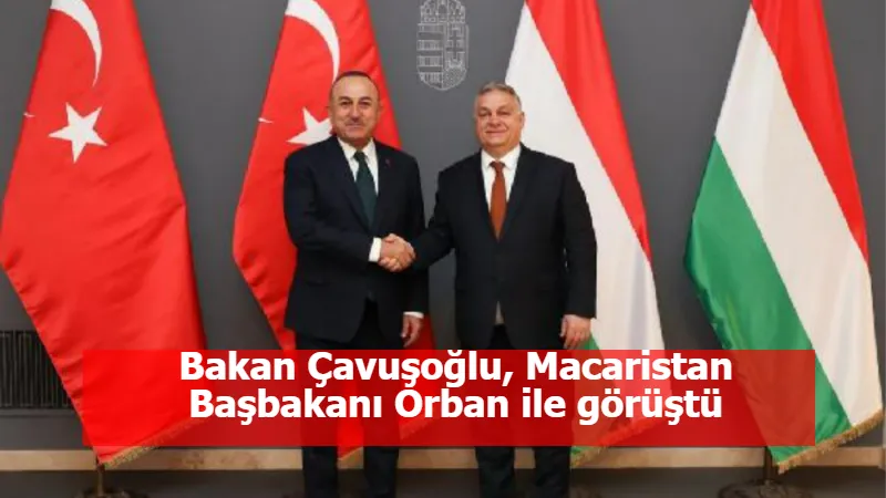 Bakan Çavuşoğlu, Macaristan Başbakanı Orban ile görüştü