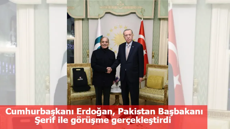 Cumhurbaşkanı Erdoğan, Pakistan Başbakanı Şerif ile görüşme gerçekleştirdi 