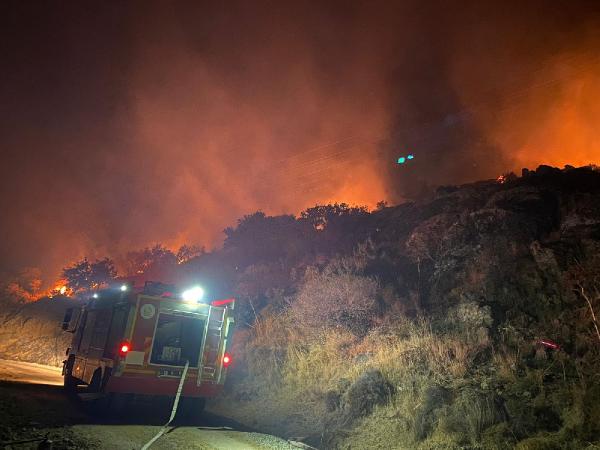 Bodrum'da makilik yangını; 5 dönüm zarar gördü