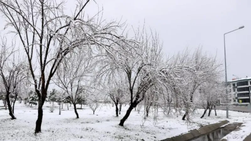 Afyonkarahisar'da kar yağışı