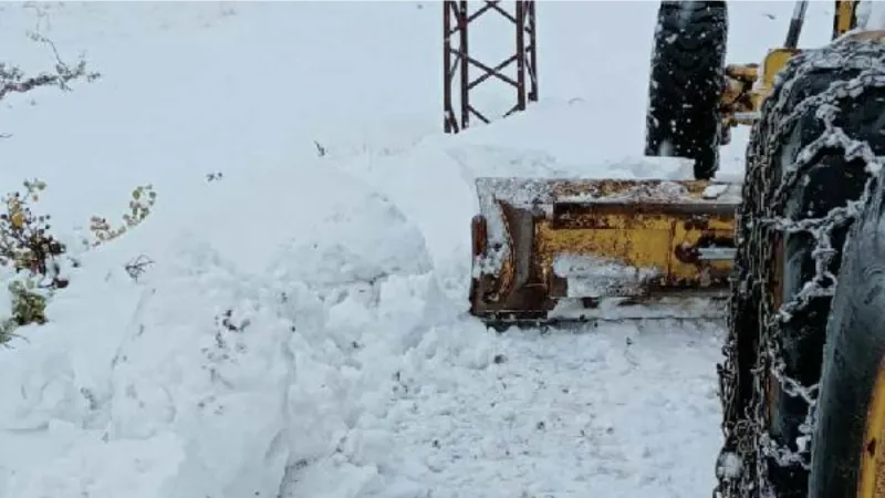 Tunceli’de kar; yüksek kesimlerde 10 santimetreye ulaştı