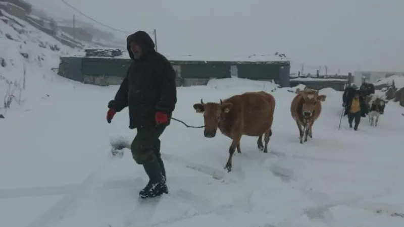Rize'nin yükseklerinde kar yağışı; yaylacılar dönüşe geçti