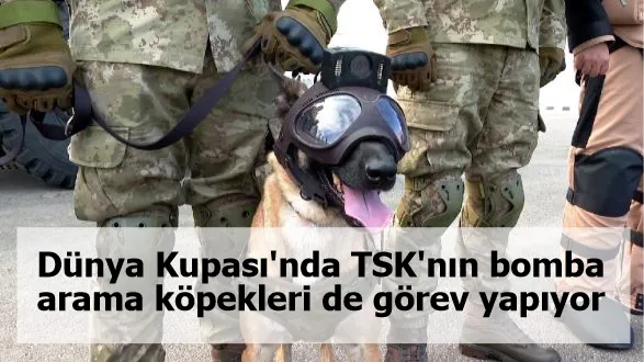 Dünya Kupası'nda TSK'nın bomba arama köpekleri de görev yapıyor