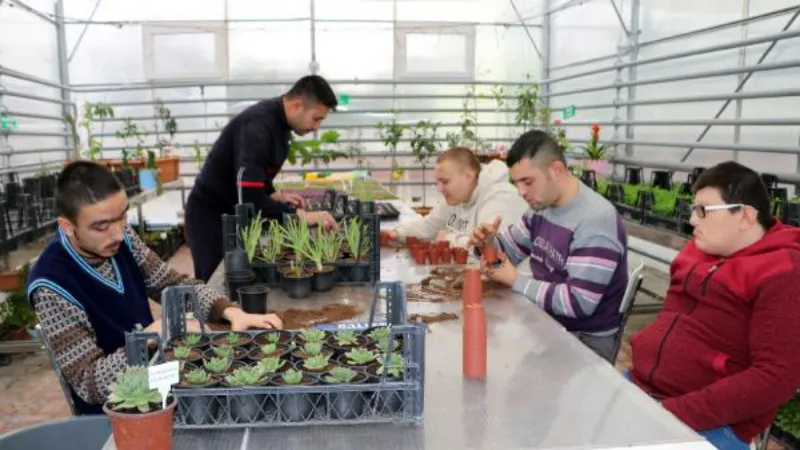Özel öğrenciler jeotermal serada süs bitkileri ve çiçek yetiştiriyor