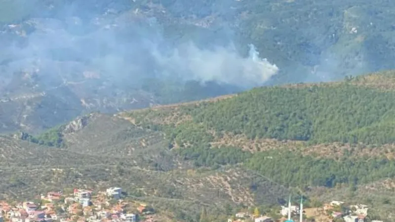 Kazdağları’nda orman yangını