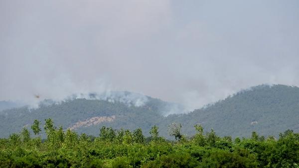 Yunanistan'daki orman yangını, Türkiye'den endişe ile izleniyor