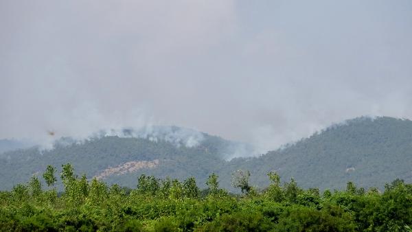 Yunanistan'daki orman yangını, Türkiye'den endişe ile izleniyor